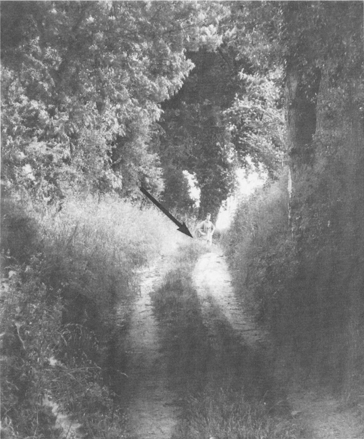 Hollis's machine gun