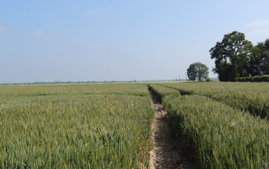 D-day landscapes: Plain of Caen
